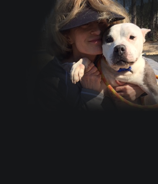 Friends of the Animal Shelter | Aiken, SC