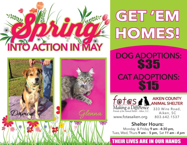 Friends of the Animal Shelter | Aiken, SC