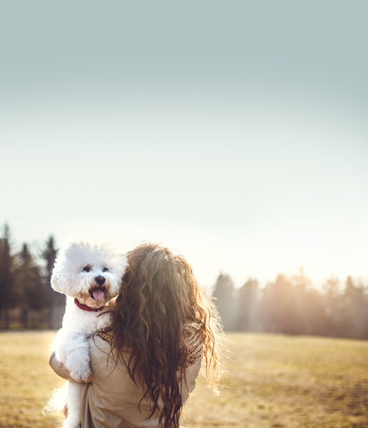 Friends of the Animal Shelter | Aiken, SC