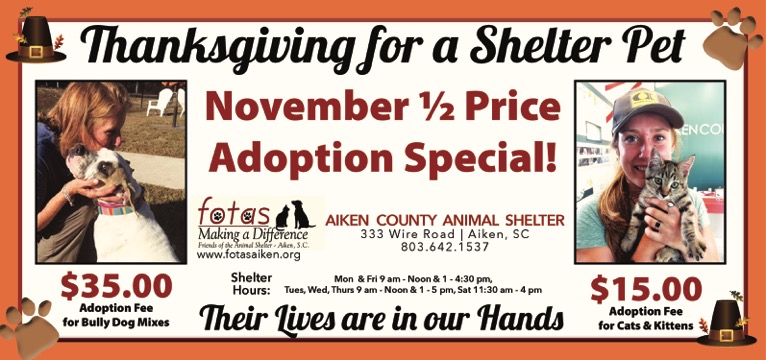 Friends of the Animal Shelter | Aiken, SC