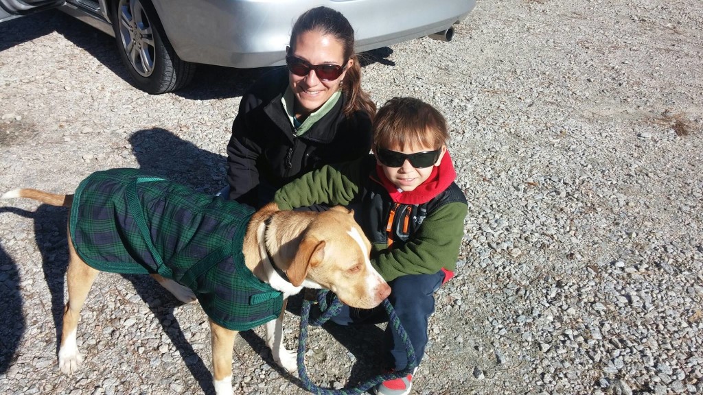 Friends of the Animal Shelter | Aiken, SC