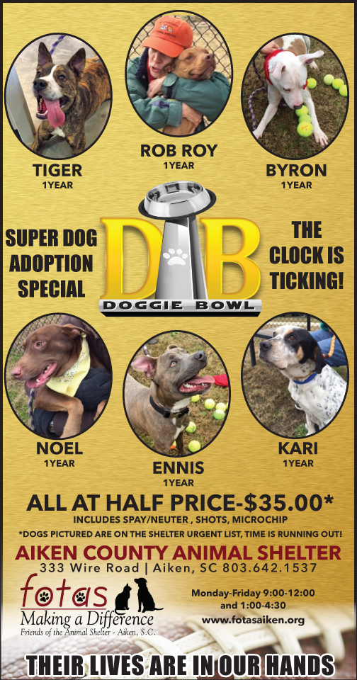 Friends of the Animal Shelter | Aiken, SC