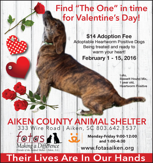 Friends of the Animal Shelter | Aiken, SC