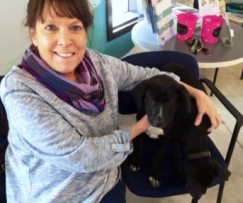 Claire and Cassie get adopted II March 5 2017