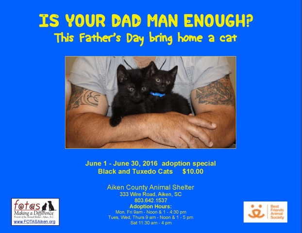 Friends of the Animal Shelter | Aiken, SC