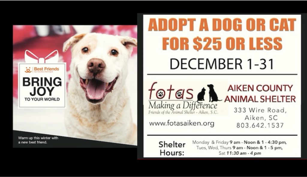 Friends of the Animal Shelter | Aiken, SC