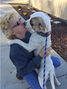 Bonnie White with an adoptable dog from the Aiken County Animal Shelter
