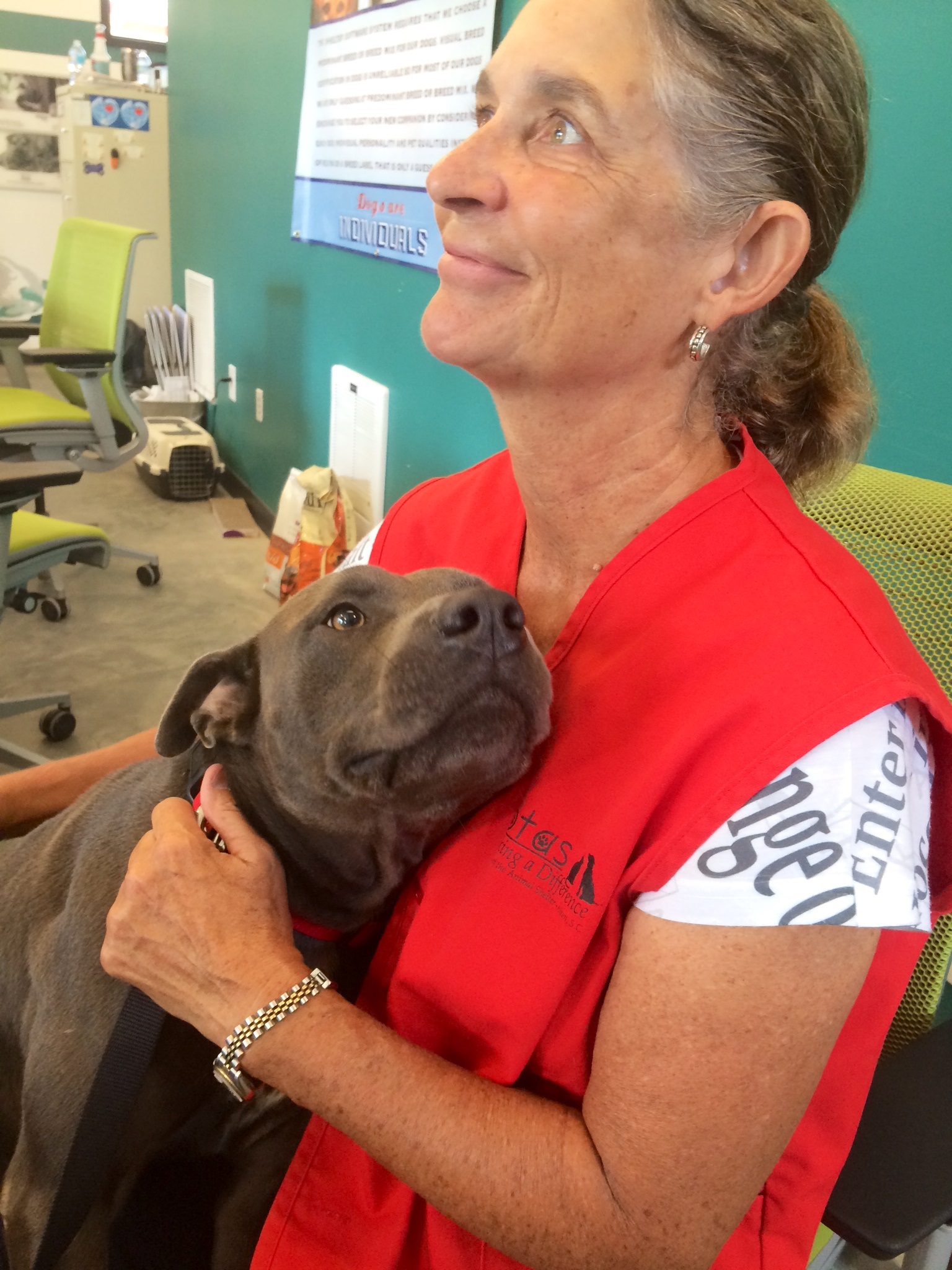 Volunteer Madeleine Burgoyne hugs Dozer as she meets and greets visitors in the shelter lobby.