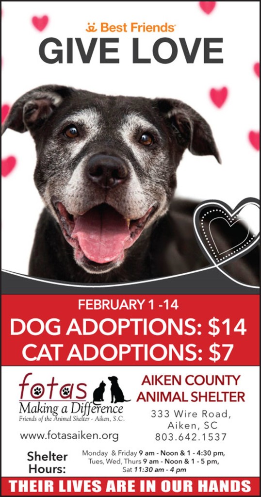 Friends of the Animal Shelter | Aiken, SC
