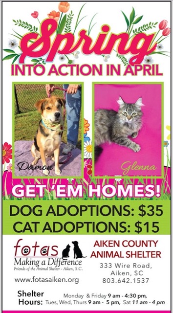 Friends of the Animal Shelter | Aiken, SC