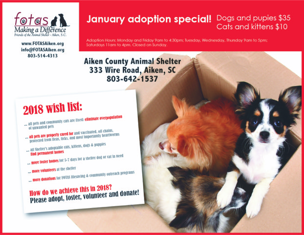 Friends of the Animal Shelter | Aiken, SC