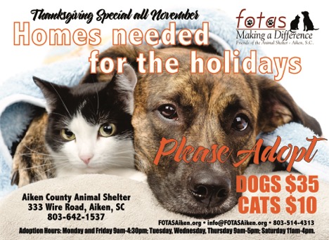 Friends of the Animal Shelter | Aiken, SC