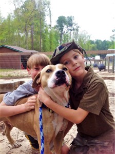 Henry and Harrison with Bellamy