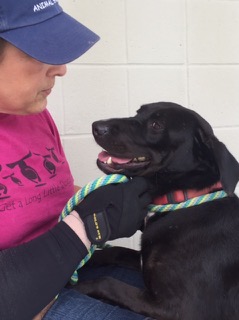Nanci Santos, FOTAS volunteer, with one of the dogs at the Aiken County Animal Shelter