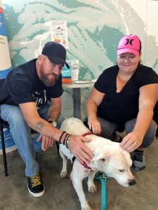 Gloria is adopted from the County Shelter by the Wilhelms.