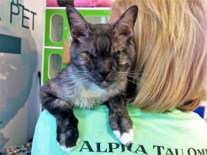 Ray was a favorite at the Shelter before being adopted on Clear the Shelters Day, August 19.