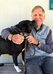 FOTAS Volunteer John Berk enjoys walking and spending time with shelter dogs like Arthur.
