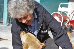 Volunteer Jackie Edel works with the County Shelter dogs nearly every day.