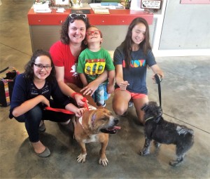 Biscuit was adopted by an Aiken family and now has a canine brother named Bear.