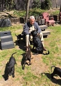 John Dabney fosters a litter of puppies to prepare them for adoption.