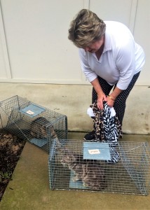 Connie Jeffcoat of Wagener picks up two community cats she had spayed at the County Animal Shelter. 