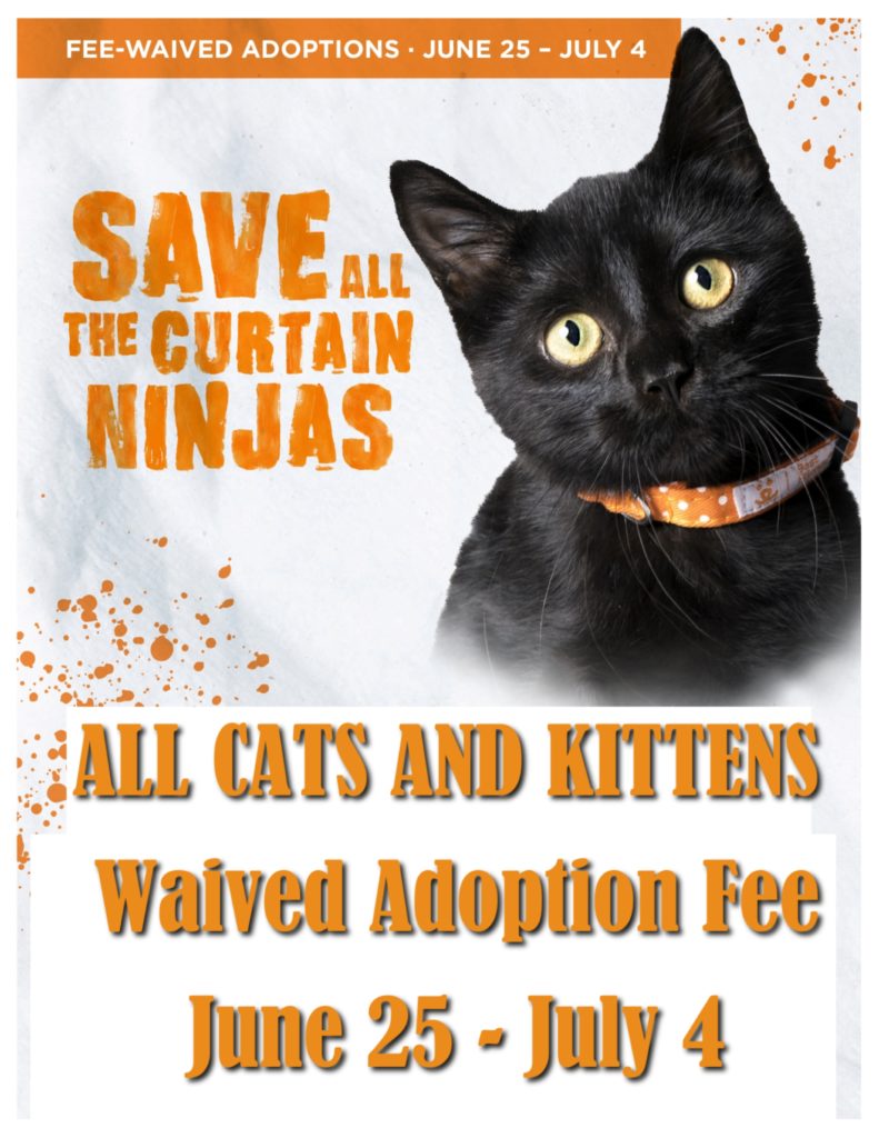 Friends of the Animal Shelter | Aiken, SC