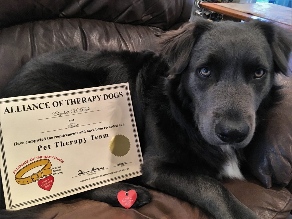 how can i get my dog certified as a therapy dog