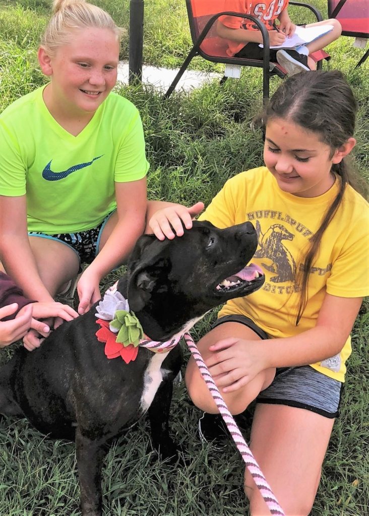 Friends of the Animal Shelter | Aiken, SC