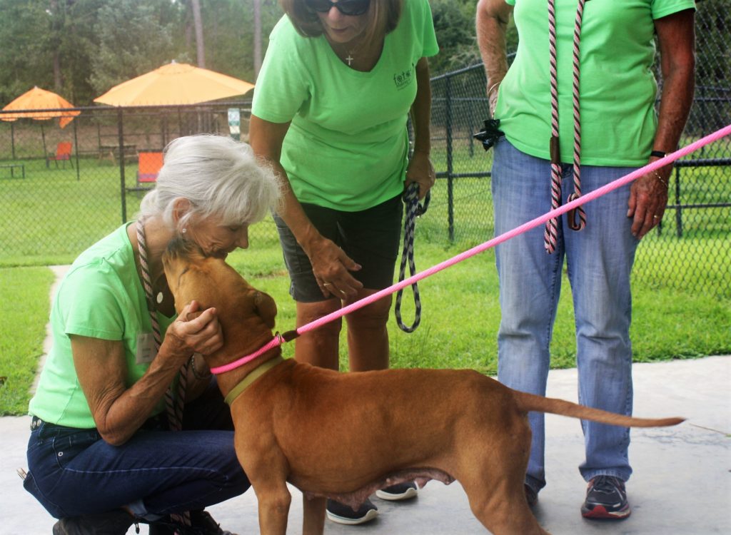 Friends of the Animal Shelter | Aiken, SC