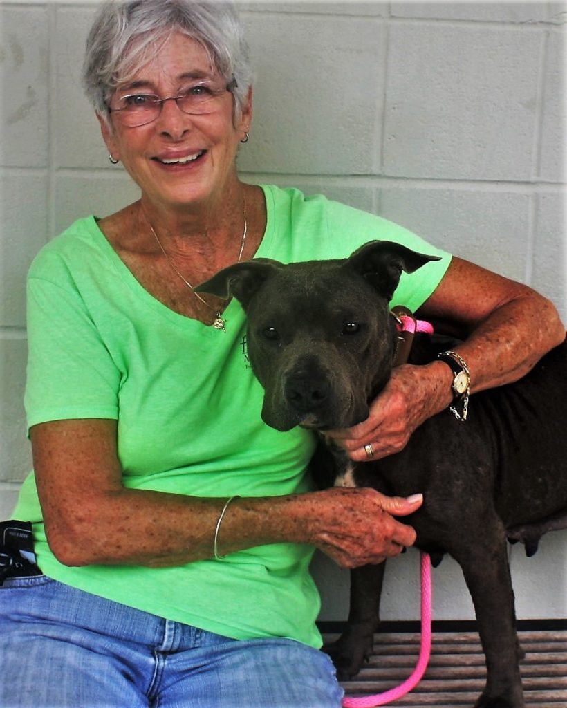 Friends of the Animal Shelter | Aiken, SC