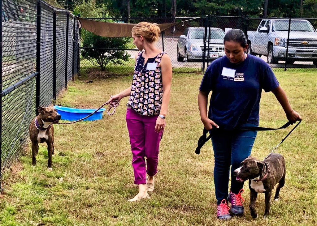 Friends of the Animal Shelter | Aiken, SC