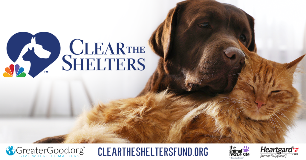 Friends of the Animal Shelter | Aiken, SC