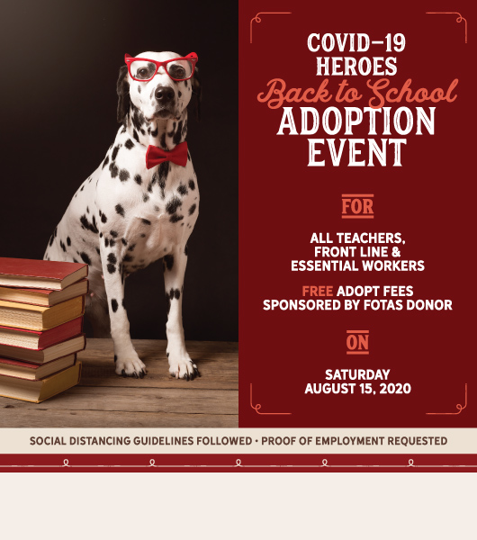Friends of the Animal Shelter | Aiken, SC
