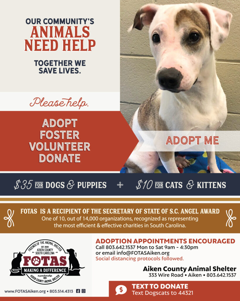Friends of the Animal Shelter | Aiken, SC