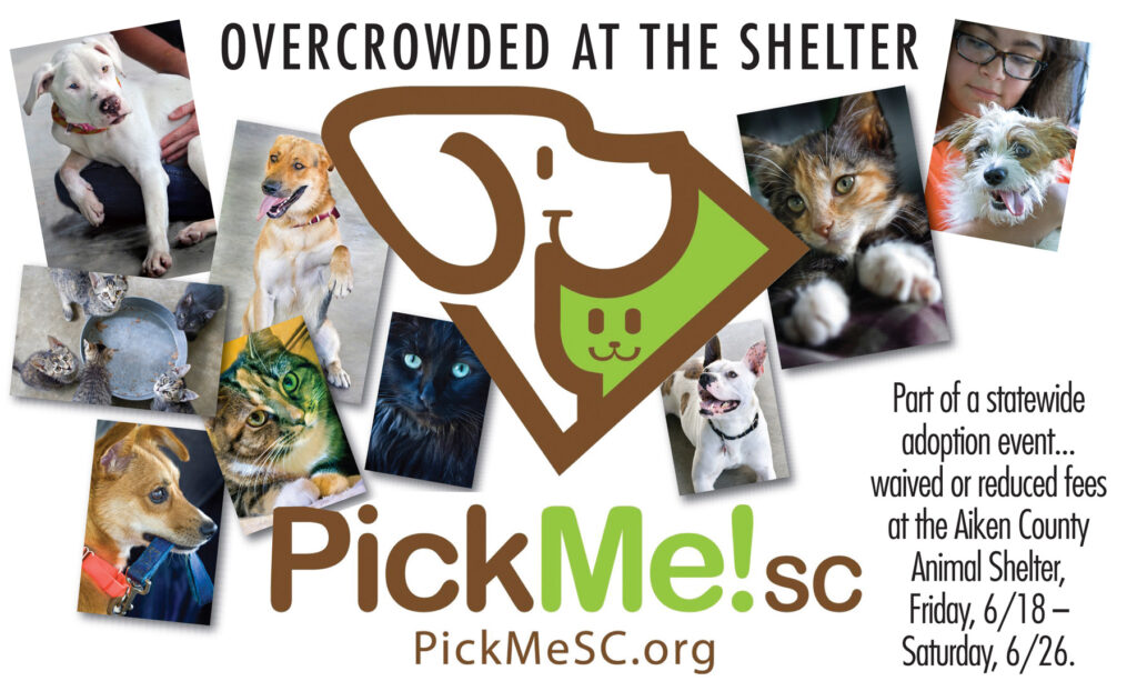Friends of the Animal Shelter | Aiken, SC