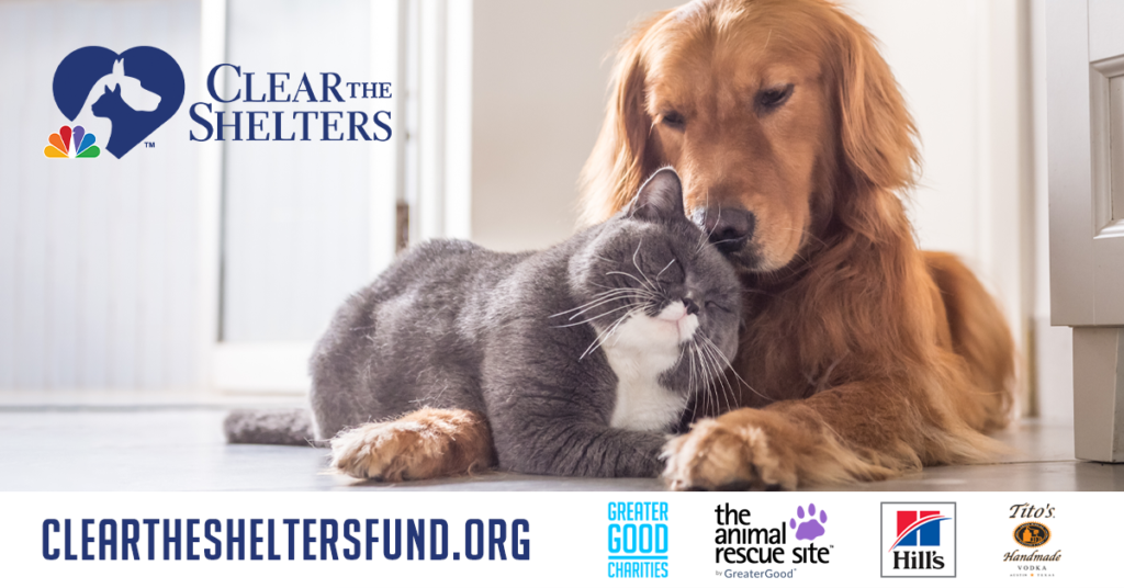 Friends of the Animal Shelter | Aiken, SC