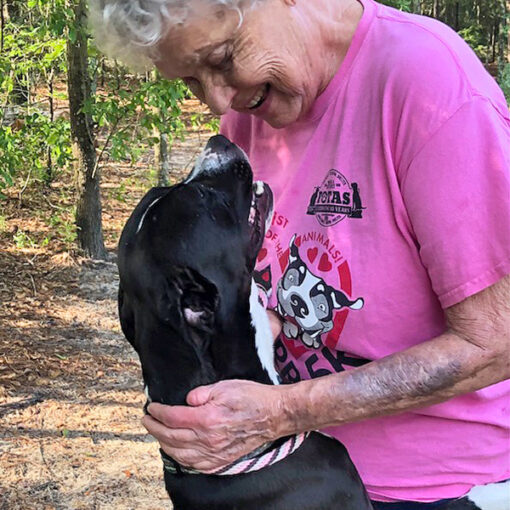 Volunteer friends of the animal shelter aiken sc