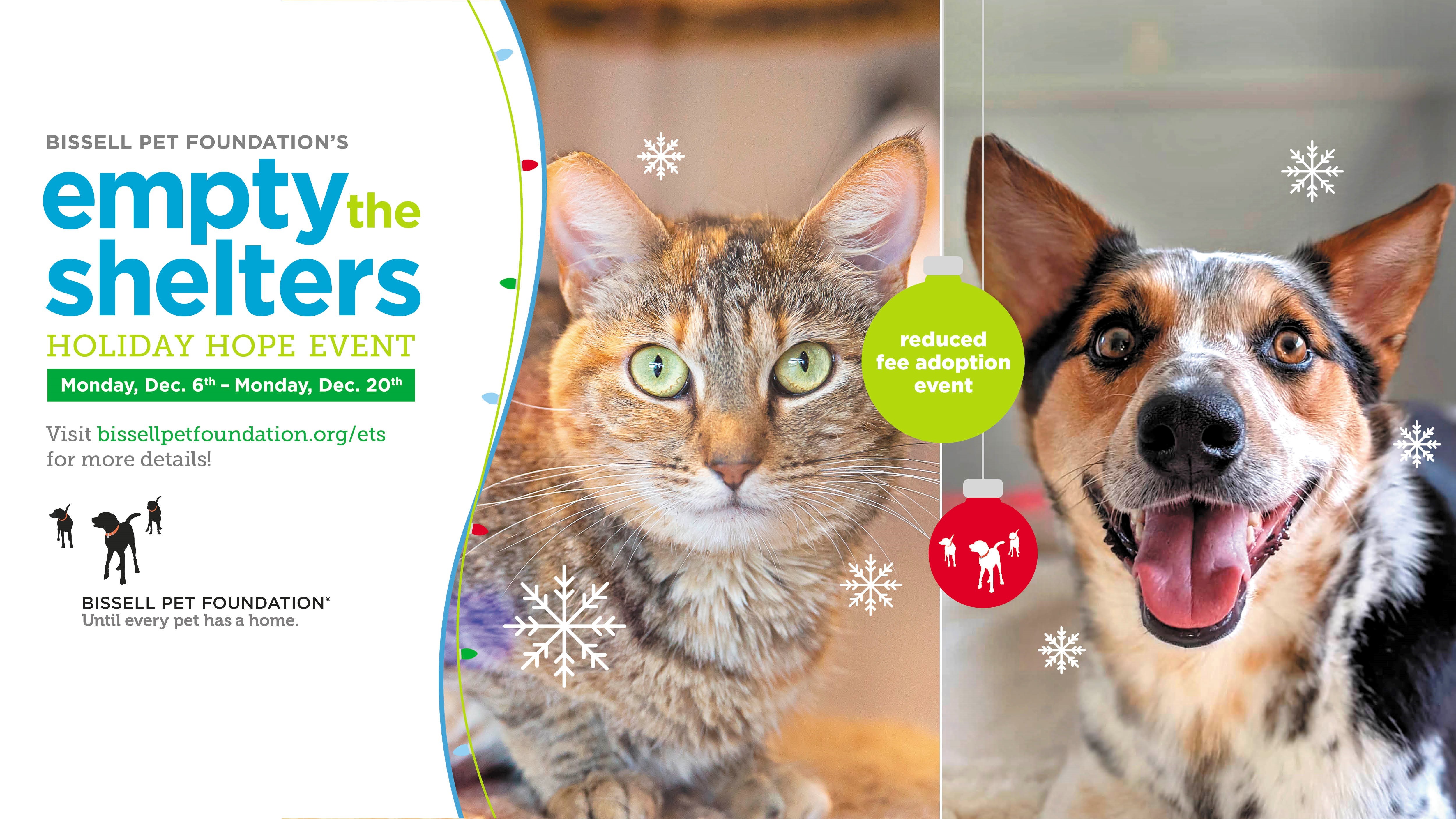 Friends of the Animal Shelter | Aiken, SC