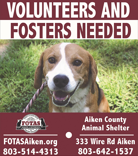 Friends of the Animal Shelter | Aiken, SC – Their Lives Are in Our Hands