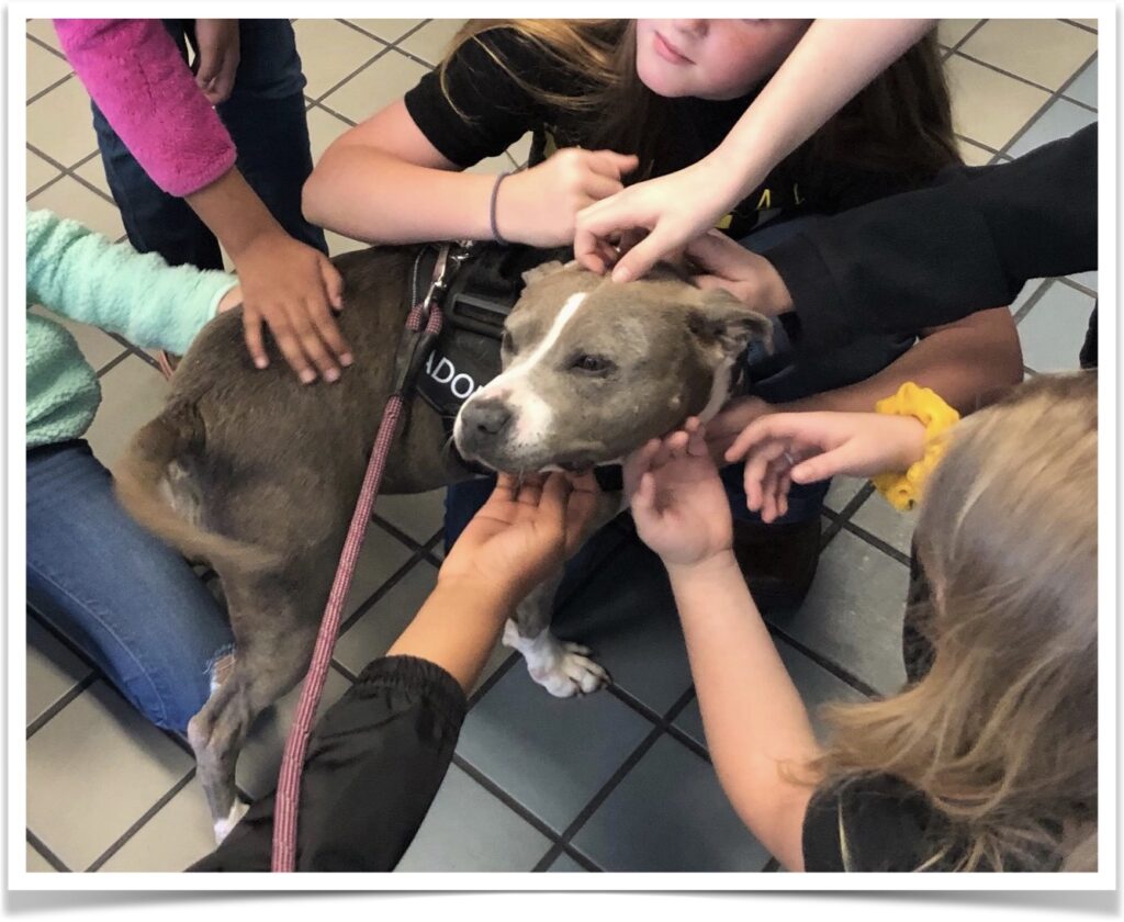 Adoptable dog Sophia enjoys a warm welcome from students at Gloverville Elementary School.