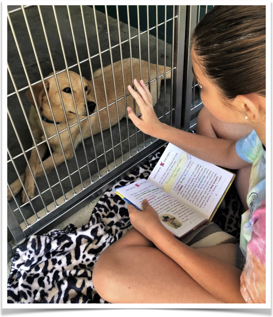 The FOTAS Dog Ears Reading program helps children hone their reading skills and reduces the kennel stress of the County Animal Shelter’s dogs and cats.