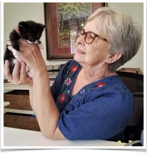 Carol Miller has been fostering kittens for eight years and loves it.