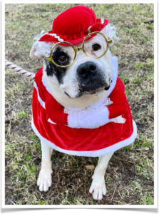 Gwyneth dressed as Mrs. Claus.