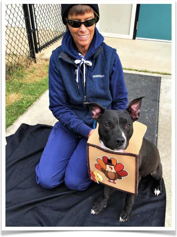 Jody Clark feeds a shelter dog on Thanksgiving.