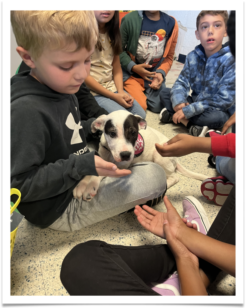 Graniteville Elementary students play with puppies from the Aiken County Animal Shelter.