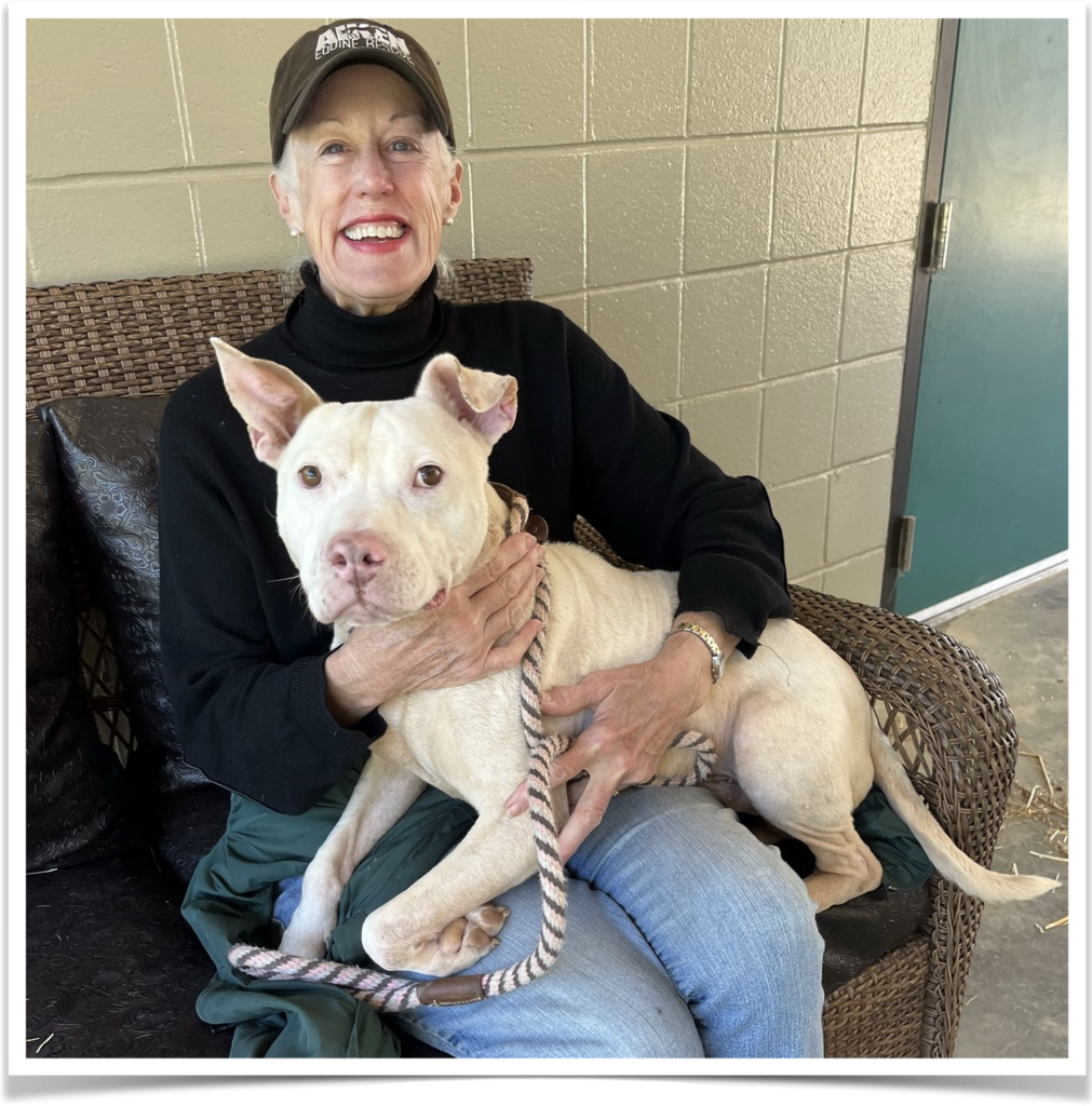 Diesel cuddles with a FOTAS volunteer.