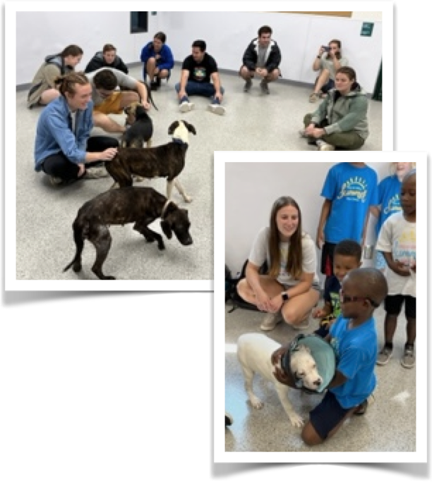 Children play with a puppy in the PAWS learning center.