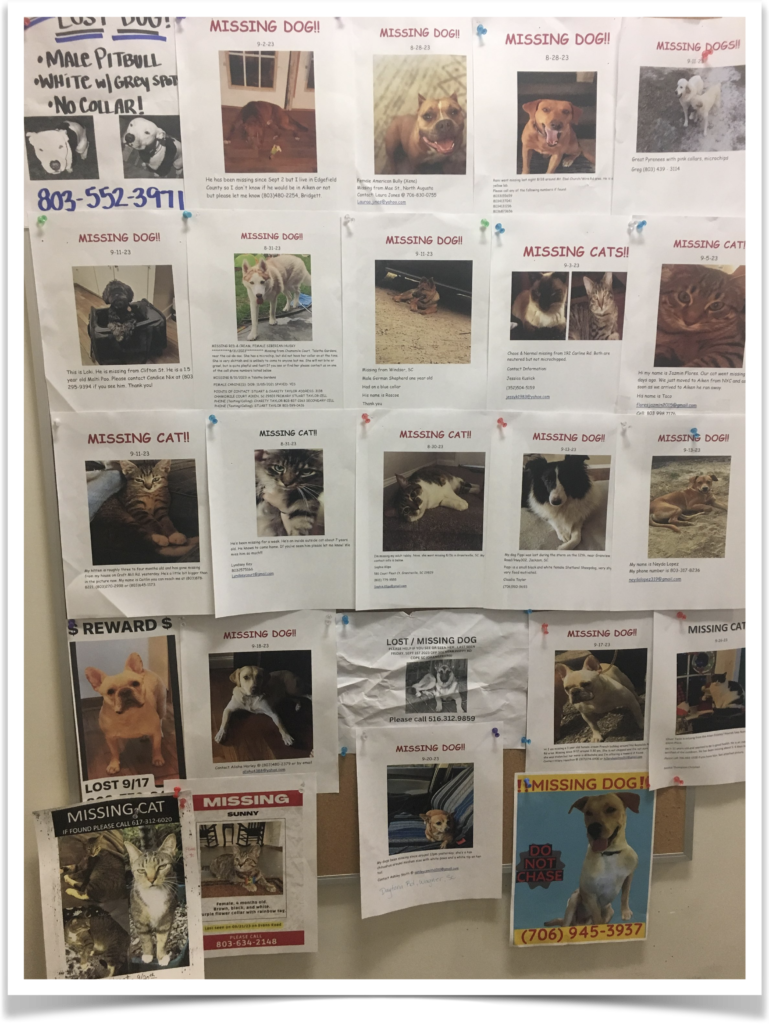 Some of the many lost pet flyers posted at the Aiken County Animal Shelter. On Oct. 14, County residents can get their pets microchipped for free to help them avoid losing their pets forever.
