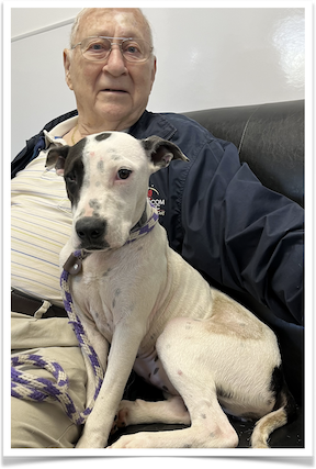 Volunteer Bob Kennedy sits with timid one-year-old Lucy.