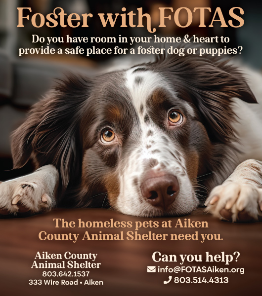 Friends of the Animal Shelter  Aiken, SC – Their Lives Are in Our